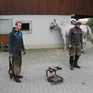 Horse appraisal